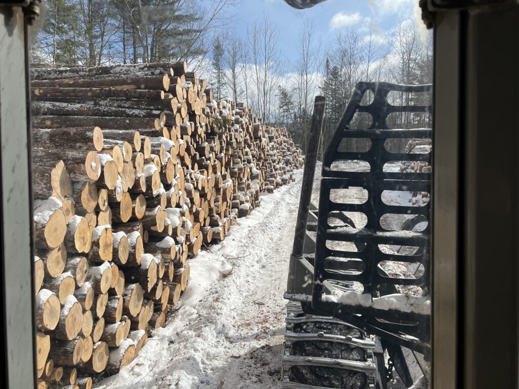 log landing in winter