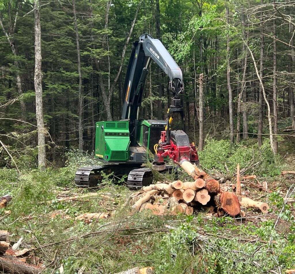 processor logging New Hampshire forest
